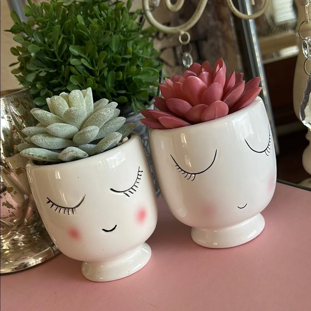 Feminine Face Planters with faux Succulents in pink and green set of two